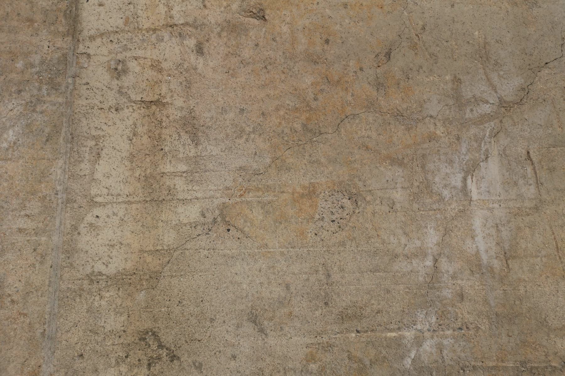 Premium Tauranga concrete and outdoor construction team planning a project