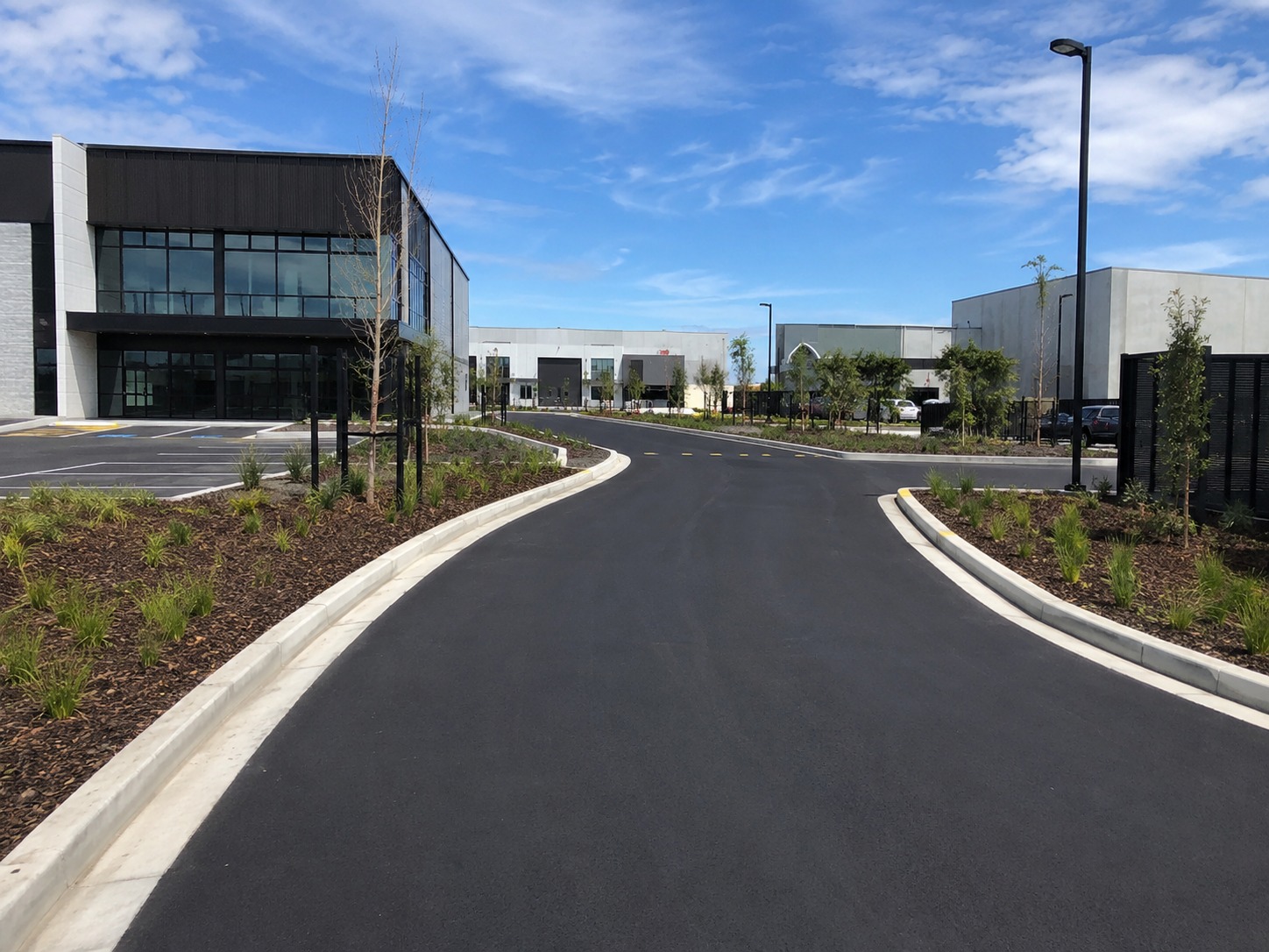 asphalt driveway project detail in Tauranga