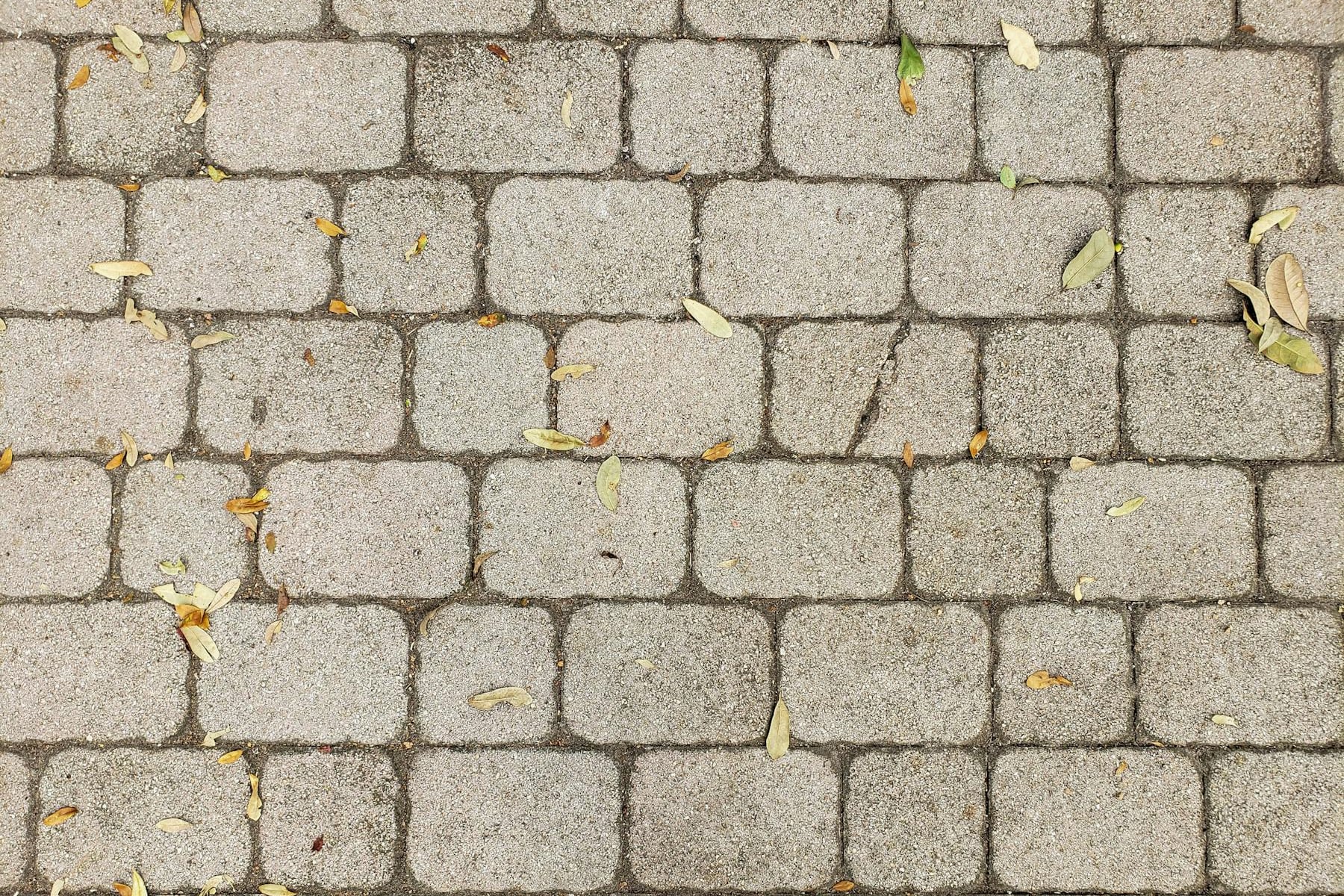 landscaping project project detail in Tauranga