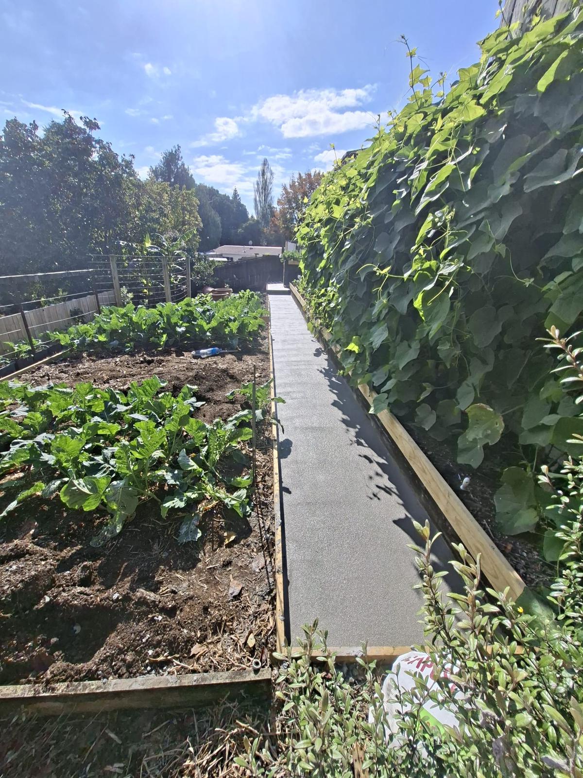 Concrete edging detail in Te Puke